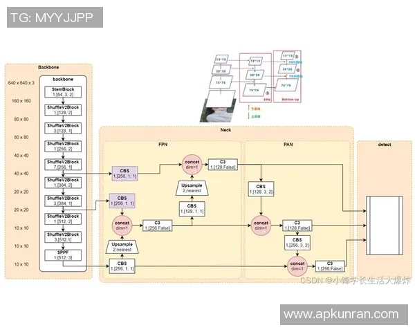 V5在精英赛中的表现分析与状态评估全面解读