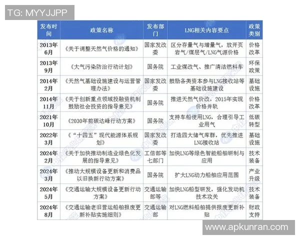 数据分析在液化天然气行业中的个人能力提升与表现研究